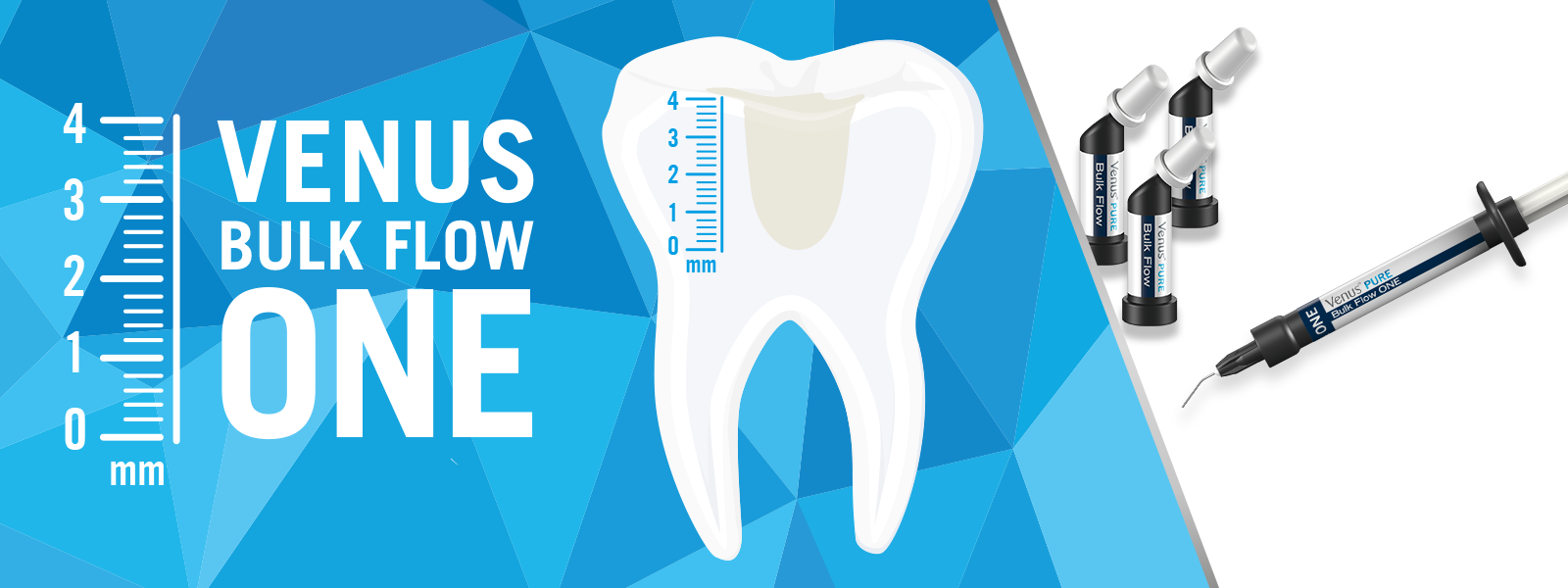 Venus Bulk Flow ONE
