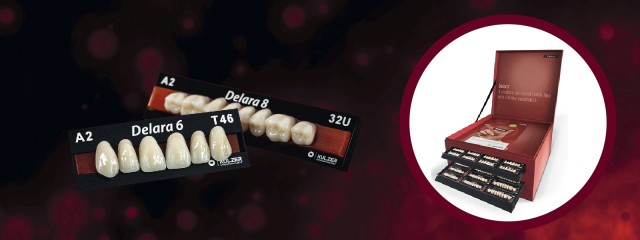 Delara Testset